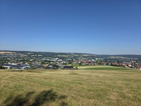 Blick auf Erbach-Michelstadt