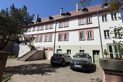 Die Alte Münze