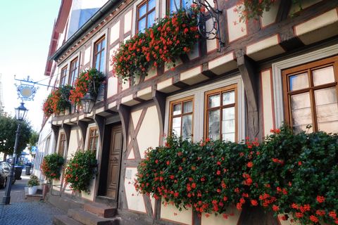 Alte Museumsstubb