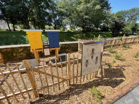 Bienenkästen im Nachgarten