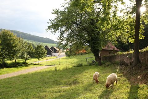 Blick auf Steinbuch