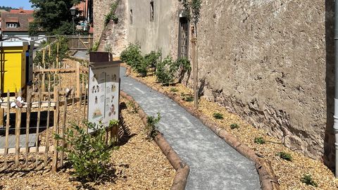 Beerengarten - Weg entlang der Mauern der historischen Kellerei