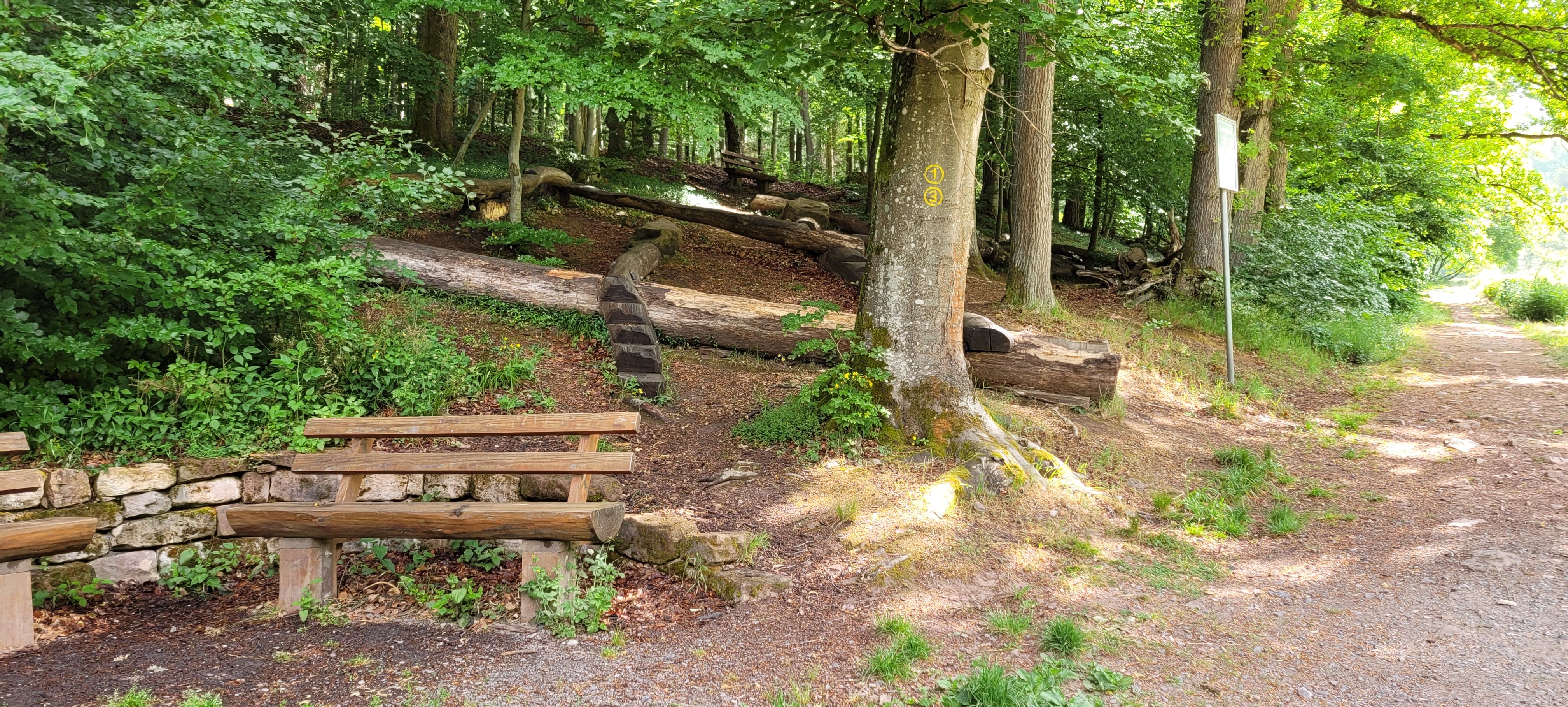 Waldspielplatz unterhalb des Dirtparks