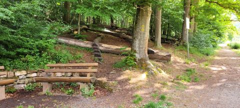 Waldspielplatz unterhalb des Dirtparks