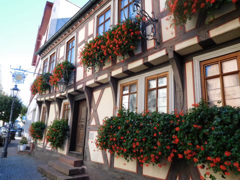 Alte Museumsstubb