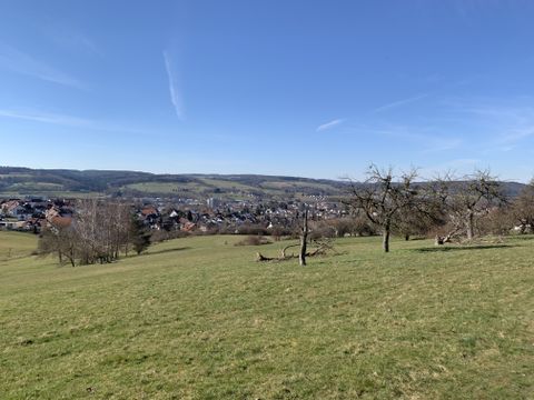Blick nach Michelstadt vom Gräsig