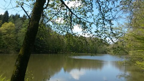 Rehbacher See