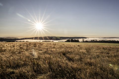 Sonnenaufgang über Vielbrunn