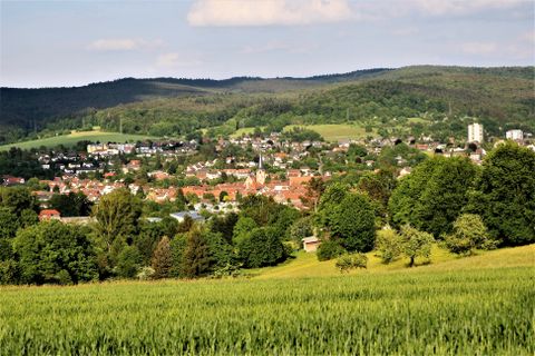 Michelstadt von seiner grünen Seite